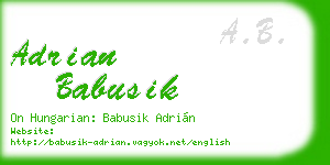 adrian babusik business card